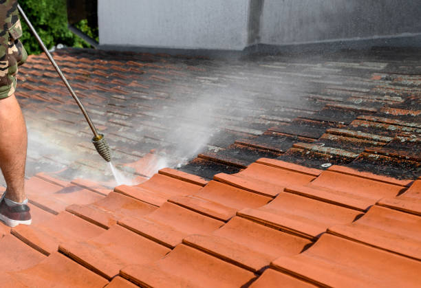 Best Power Washing Near Me  in Georgetown, TX