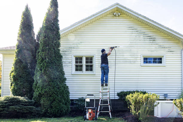 Best Local Pressure Washing Services  in Georgetown, TX